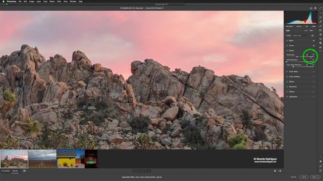 Processing your images in Camera Raw 2021 смотреть онлайн