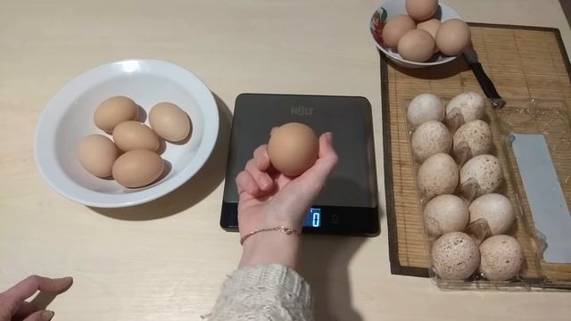 Вес яиц кур Доминантов.СПОРЫ СПОРЫ!!!! смотреть онлайн