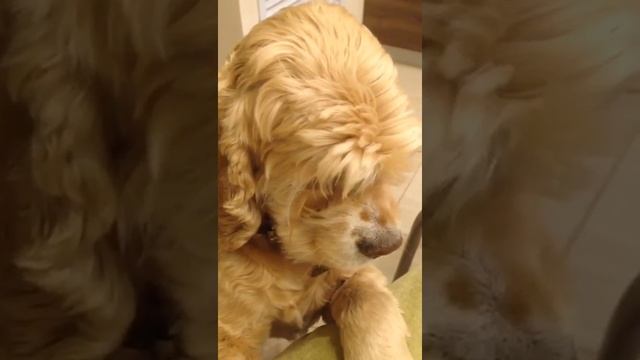 Валя, почему не слушаешься маму? смотреть онлайн