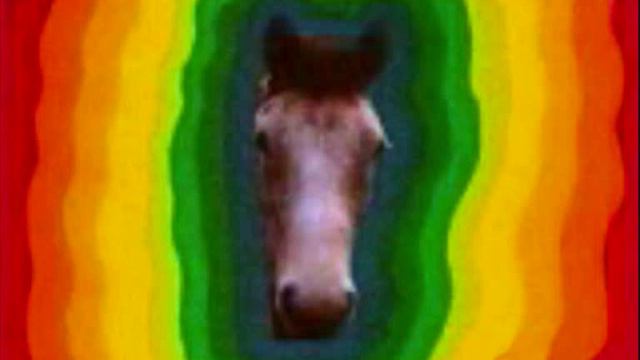 My Lovely Horse смотреть онлайн