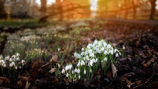 Пространство INSense Мелодия весны смотреть онлайн