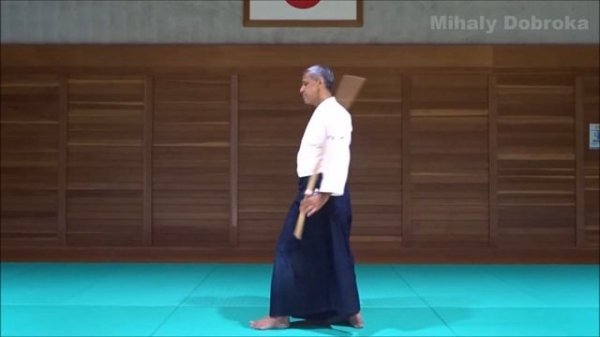 Introduction to Chiba Sensei's Weapons System - Bokken Basics