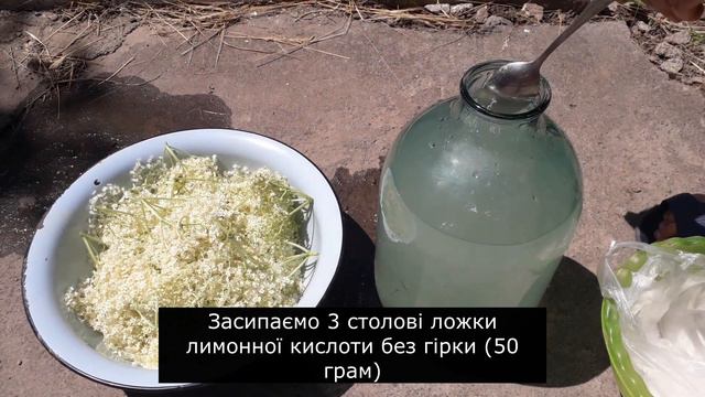 Смачніше не куштували! Неймовірний квас із цвіту чорної бузини смотреть онлайн