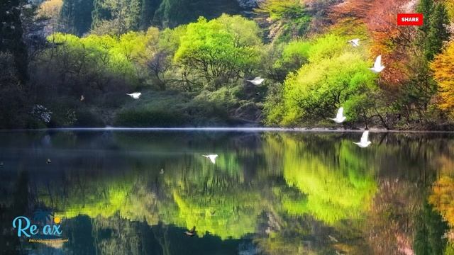 Сборник Расслабляющая музыка для сна:Музыка для отдыха, Снятие стресса,Это лучшая музыка для души смотреть онлайн