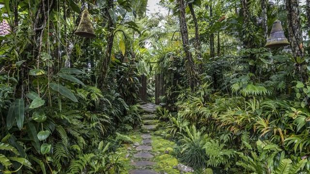 Orchid Villa - Payangan - Indonesia смотреть онлайн