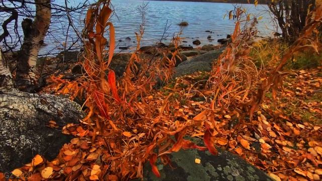 Мончегорск, теплый октябрь 2020 #Мончегорск #кольскийполуостров   #arctic #monchegorsk  #Заполярье смотреть онлайн