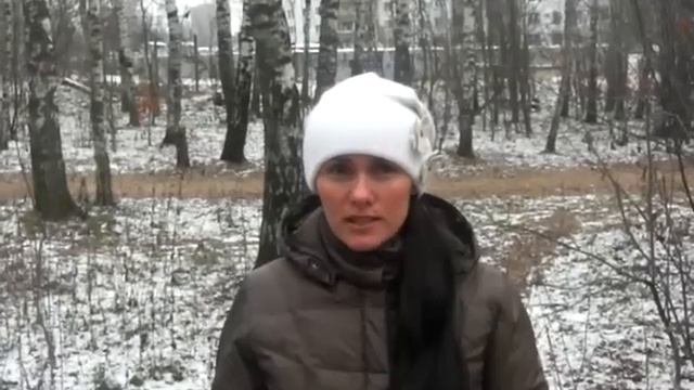 Консоль ЛТД