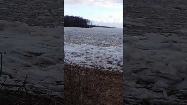 Парк Дубки конец зимы20 смотреть онлайн