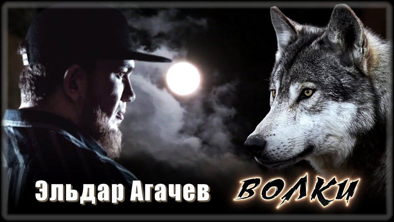 Эльдар Агачев - Волки | Шансон Юга смотреть онлайн