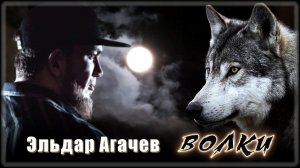 Эльдар Агачев - Волки | Шансон Юга