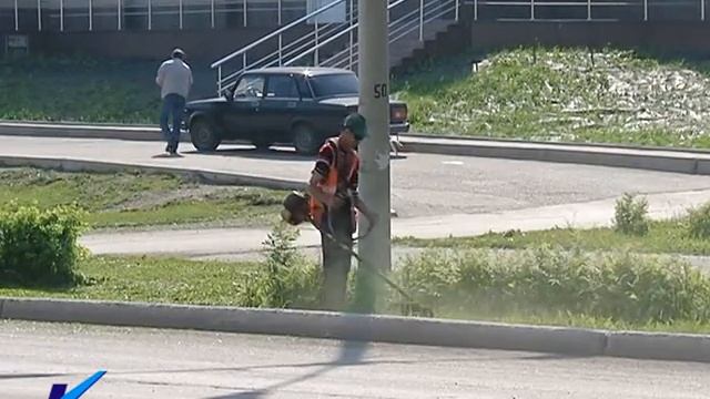 24 06 14«Косить или не косить? Вот в чем вопрос» смотреть онлайн