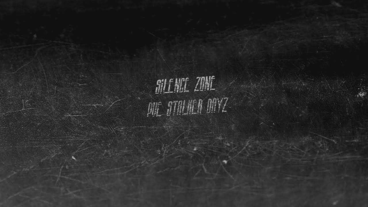 Снова в Зону[Silence Zone]