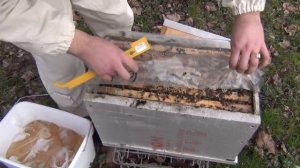 ВЕСЕННИЕ РАБОТЫ НА ПАСЕКЕ. ВЕСЕННЯЯ ПОДКОРМКА ПЧЕЛ. НАЧИНАЮЩИМ ПЧЕЛОВОДАМ