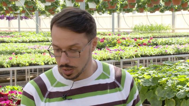 Загородные премудрости №8