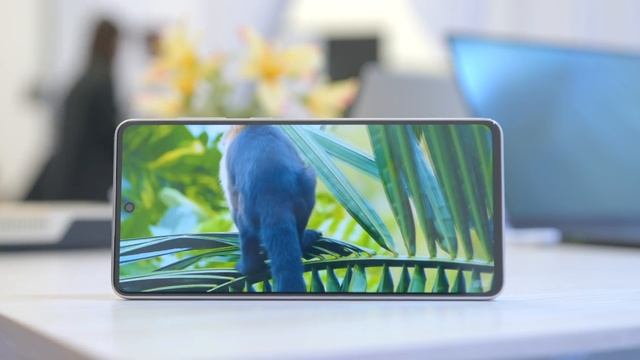 NEW 2022 Samsung Galaxy A Series: A73, A53 And A33 | A Quick Hands-On! смотреть онлайн