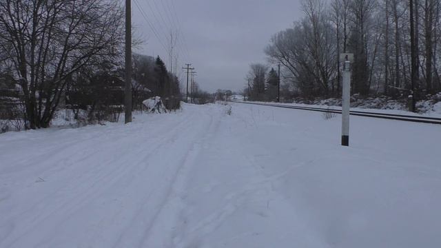 Ж/д Полковая – Псков-2. Грузовые поезда, бульдозер валит деревья, новая Ласточка смотреть онлайн