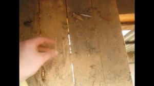 Как избавиться от шашеля, просто и бесплатно. Новый метод!!!