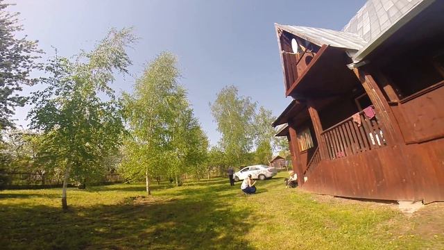 пчела работает смотреть онлайн