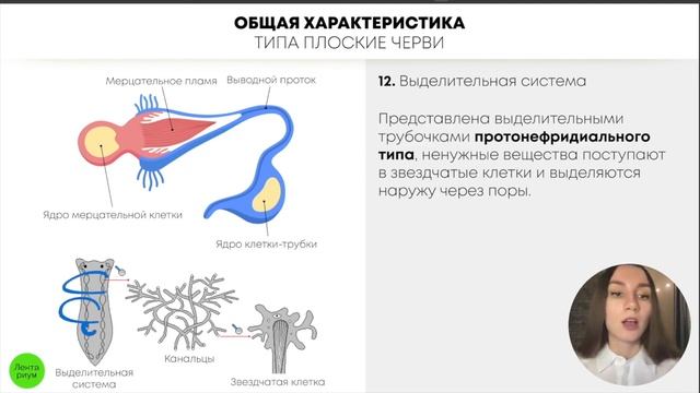 БИОЛОГИЯ ЕГЭ - Тип Плоские Черви смотреть онлайн