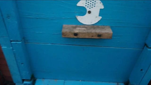 Сетчатое дно улья. Применение дно сетка на нашей пасеке при... зимовка пчел . пасека смотреть онлайн