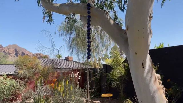 See an Artist's Desert Succulent Garden смотреть онлайн