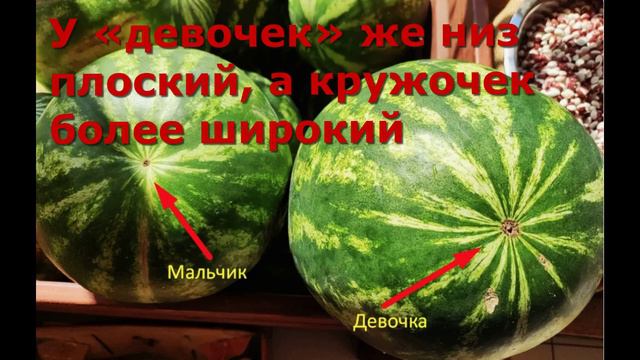Как выбрать сладкий арбуз? смотреть онлайн