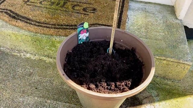 РАБОТЫ В САДУ АПРЕЛЬ 2021 ? УБОРКА ПАТИО? WASHING PATIO, WORKING IN THE GARDEN VLOG ?@Amond смотреть онлайн