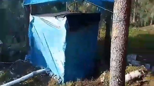 Красноярская тайга!! смотреть онлайн