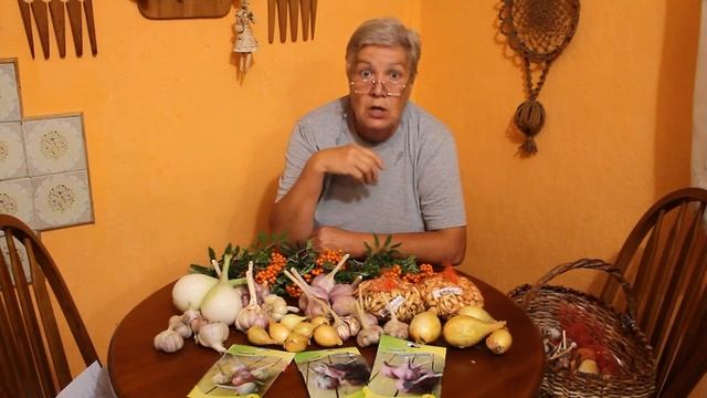 210 Озимые сорта лука смотреть онлайн