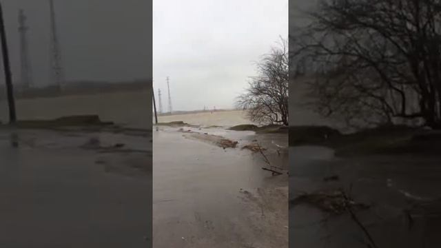 В Прегольском вышедшая из берегов река затопила дорогу смотреть онлайн