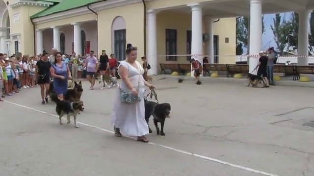 Феодосия, день города, парад собак смотреть онлайн