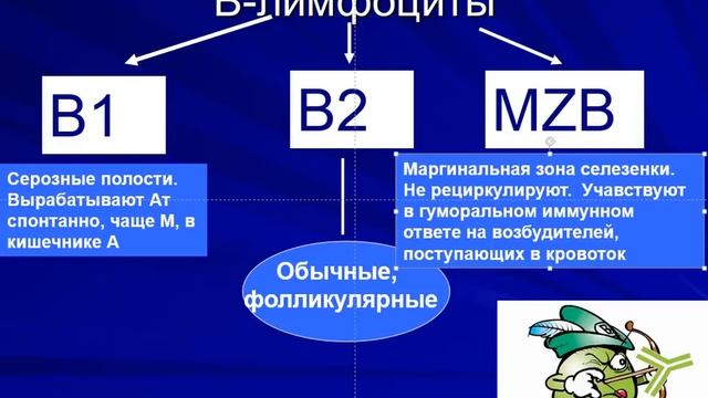 Антигены. Клетки. Антитела смотреть онлайн