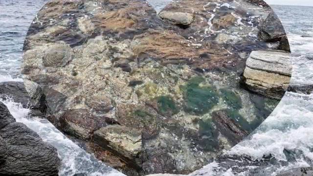 Дорога к морю. Такую красоту в Приморье надо обязательно увидеть!!! смотреть онлайн