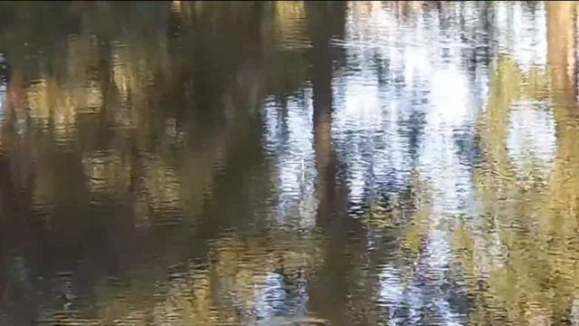 Ловля карася на тесто #рыбалка #рыба #карась #спиннинг #щука #карась #рыбалка #попловок смотреть онлайн