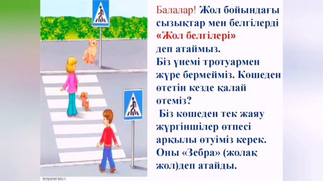 жолда жүру ережесі