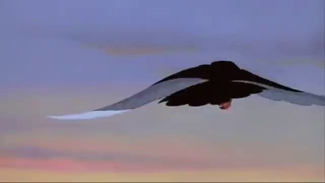 Quest For Camelot: Kayley and Garrett Scenes Part 2 смотреть онлайн