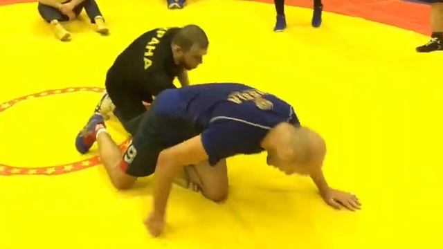 Перевод выседом партере. Шамиль Османов смотреть онлайн