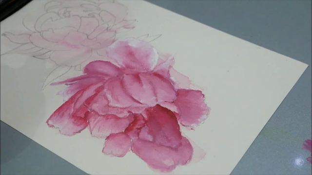 Easy Peony Painting|watercolor flower /watercolor painting|easy watercolor paintings|EP-8 смотреть онлайн