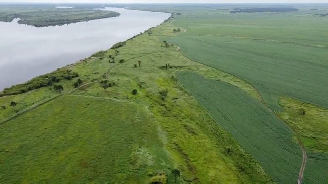 1 Августа 2020 года Часть 1 Амурская Область Свободненский район смотреть онлайн