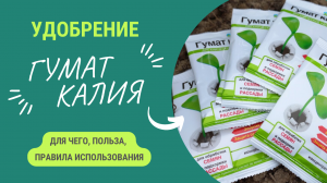 ГУМАТ КАЛИЯ: ВСЕ ОБ УДОБРЕНИИ