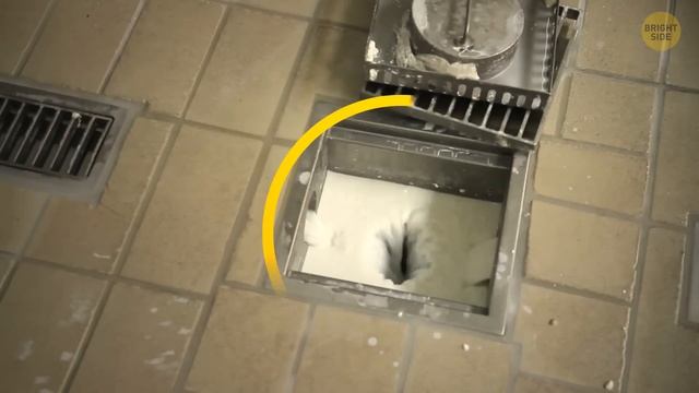 Where Cruise Ships Dump Their Waste смотреть онлайн