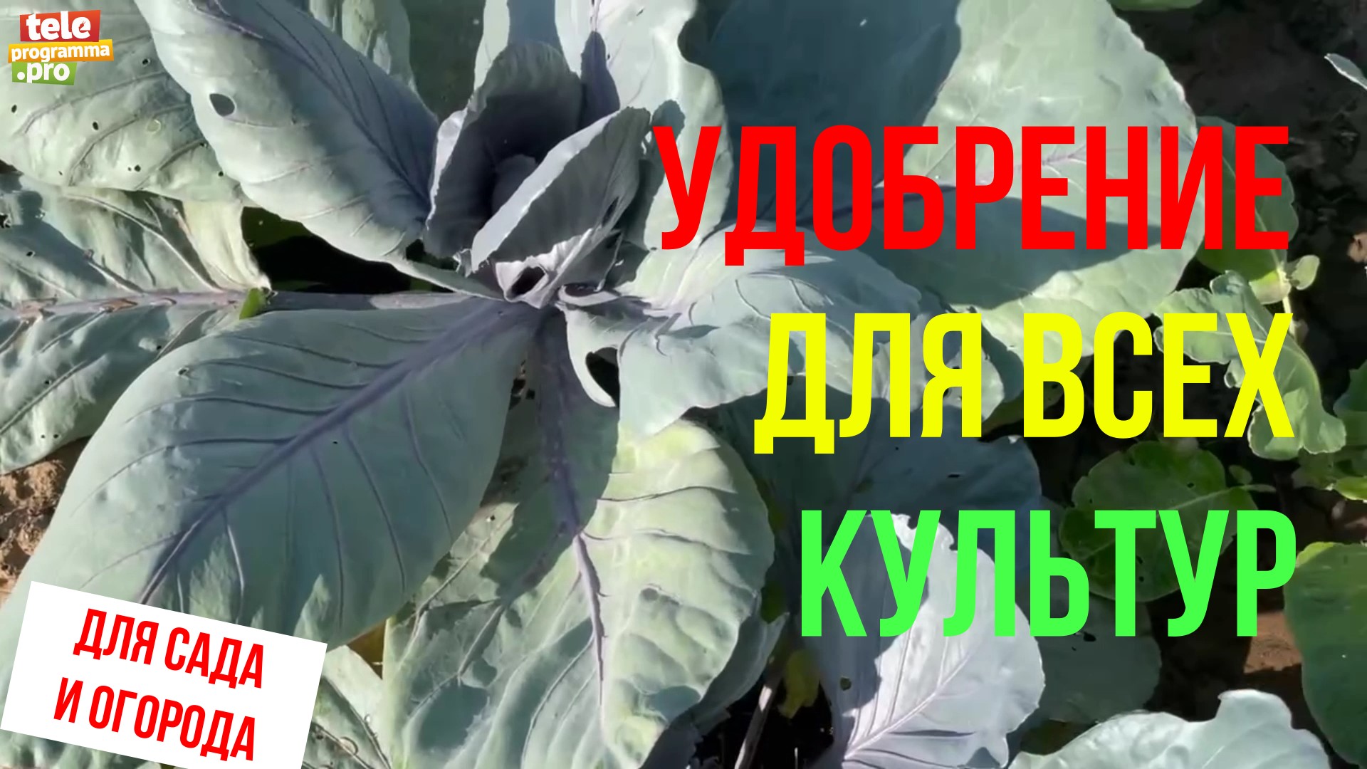 Удобрение для всех культур смотреть онлайн