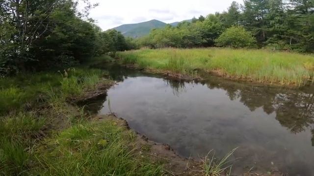Первый улов на Байкале. Рядом с истоком реки Лены. Часть 3. смотреть онлайн