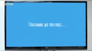 Японские линзы HOYA