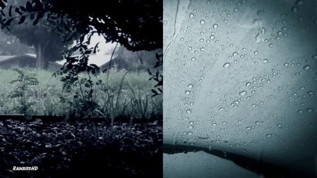 'Rain' 2 Hours of Heavy Rainfall and Thunder Sounds | High Quality Sleeping Sounds смотреть онлайн
