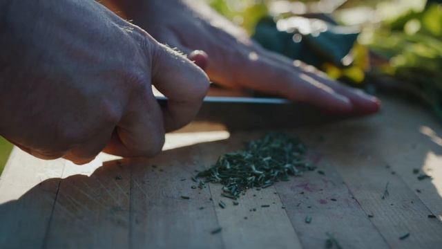 The Appalachian: Contemporary Southern Appalachian Restaurant смотреть онлайн