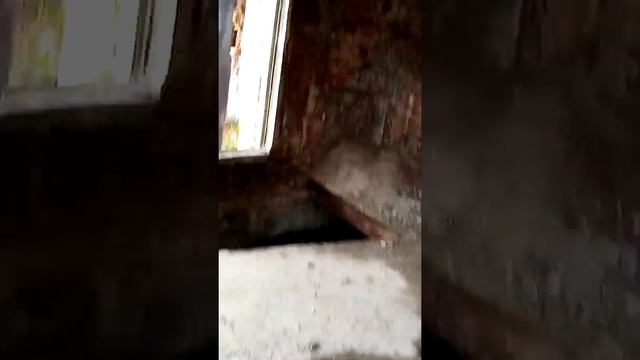 Заброшенный перрон в Удельном Парке!!! ?✌️ смотреть онлайн