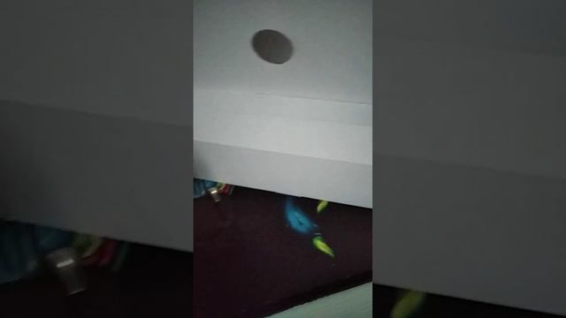 Обзор телефона за 1990₽??? смотреть онлайн