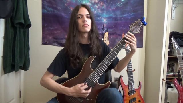 Defeated Sanity - Dharmata Guitar Cover смотреть онлайн