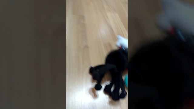 Моя коллекция игрушек сшитых мною смотреть онлайн